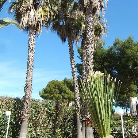 Apartment Neptune In With Swimming Pool 20 Meters From The Sea